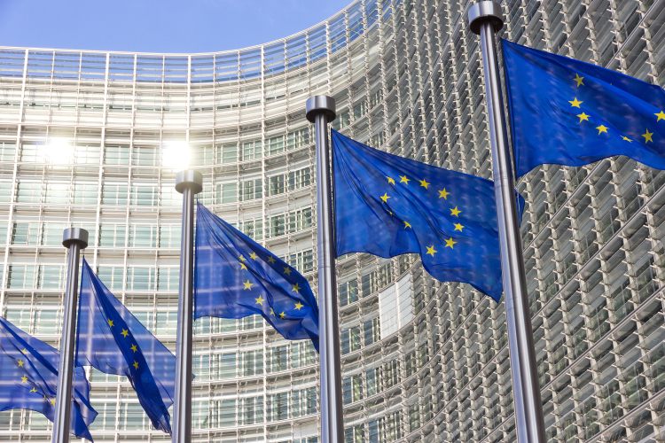EU-Flaggen / Fotolia
